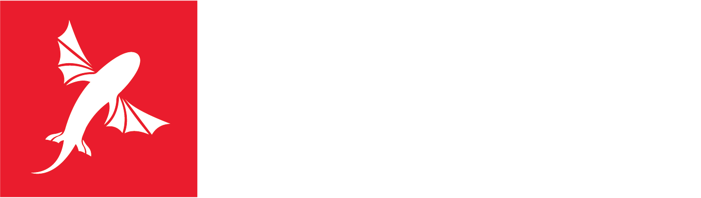 BEST Kiteboarding official logo
